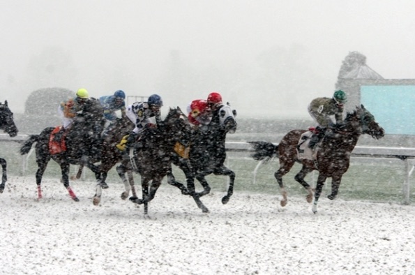 Snowy Weather